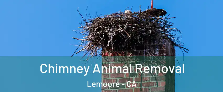 Chimney Animal Removal Lemoore - CA