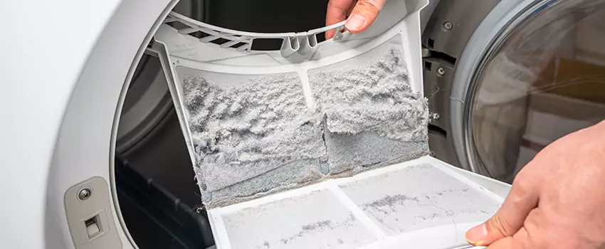 Best Dryer Lint Removal Company in Lemoore, California