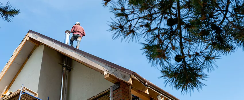 Birds Removal Contractors from Chimney in Lemoore, CA