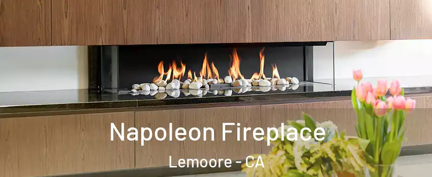  Napoleon Fireplace Lemoore - CA